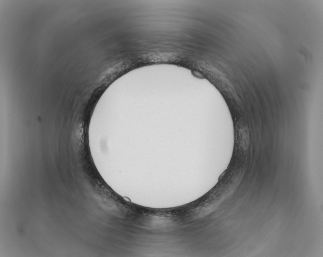 X0000111380308200908211346