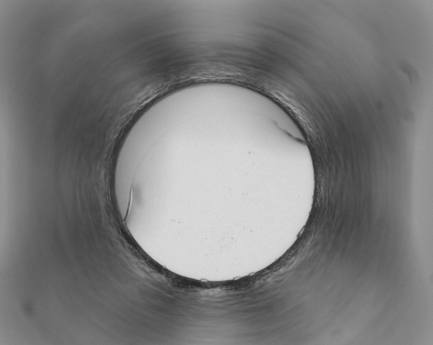 X0000111380309200908211346