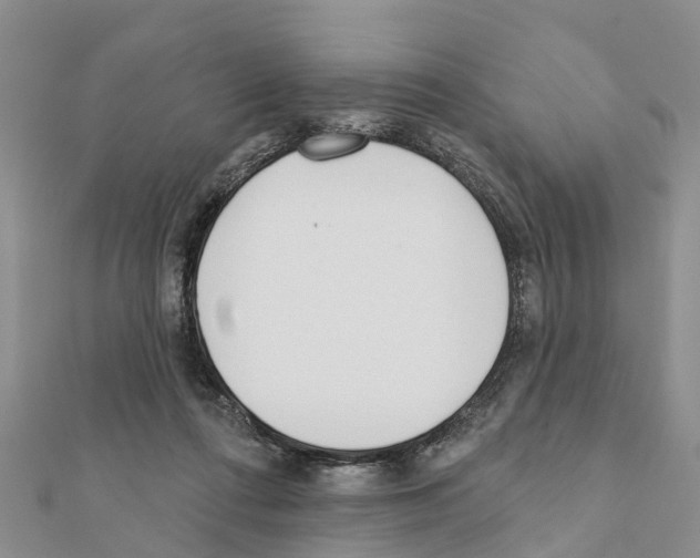 X0000111380312200908211346