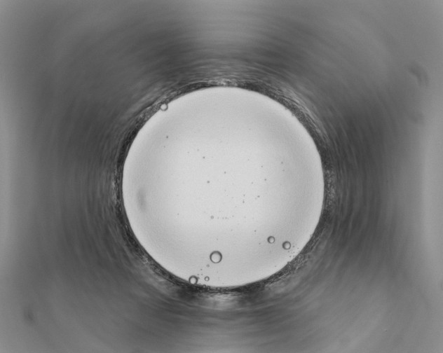 X0000111380313200908211346