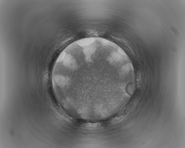 X0000111380314200908211346