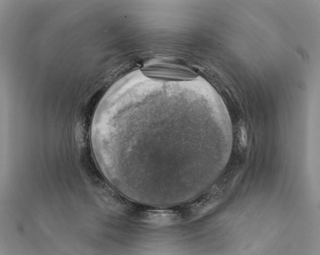 X0000111380316200908211346