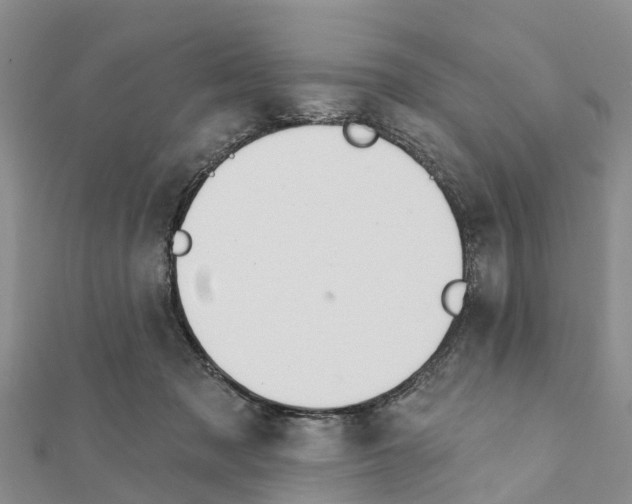 X0000111380317200908211346