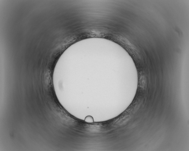 X0000111380318200908211346