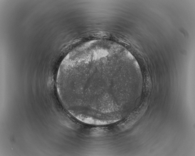 X0000111380320200908211346