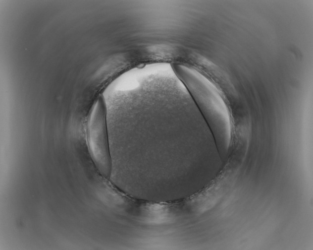 X0000111380325200908211345