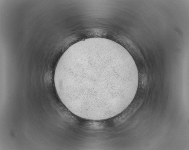 X0000111380326200908211345