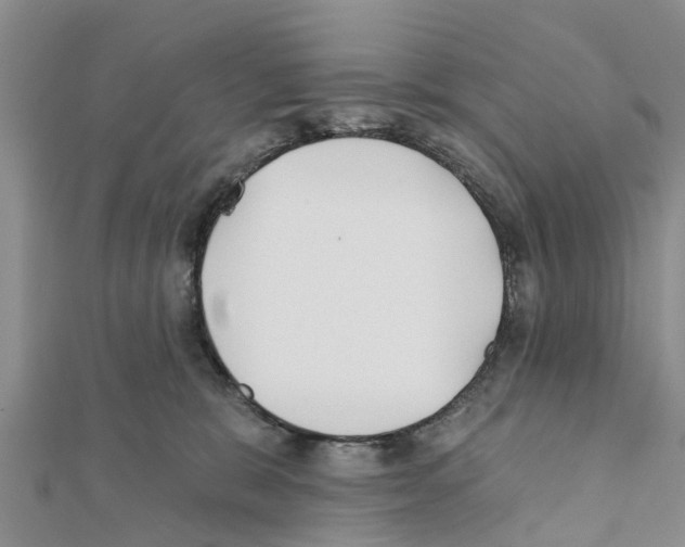 X0000111380327200908211345