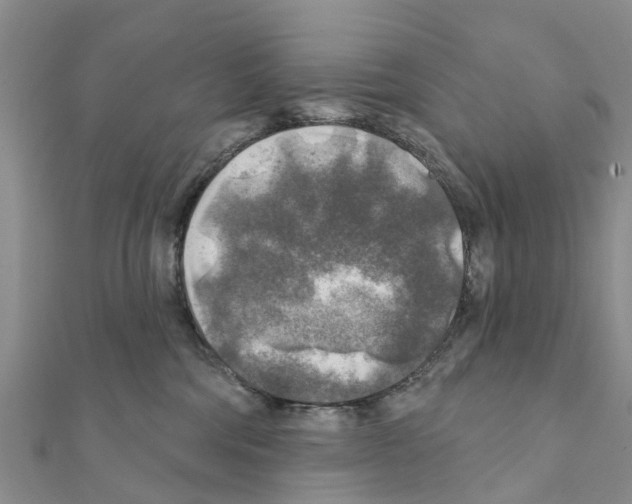 X0000111380330200908211345