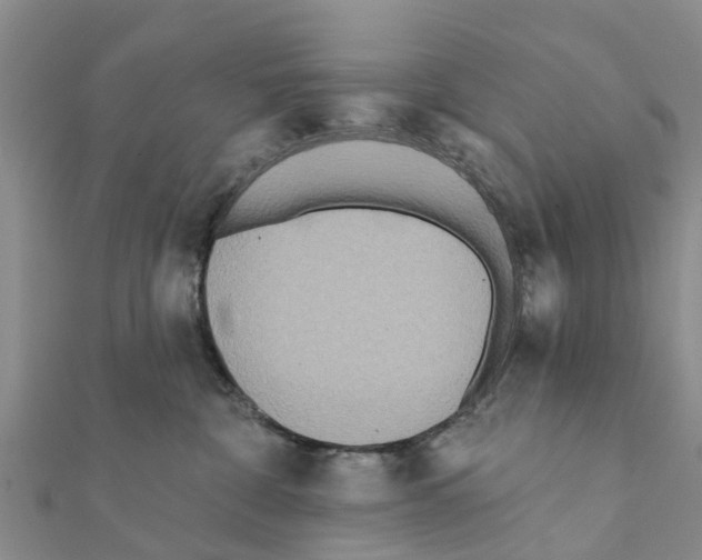 X0000111380332200908211345