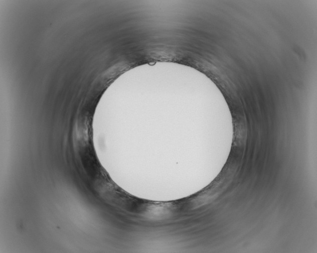 X0000111380334200908211345