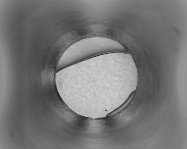 X0000111380336200908211345