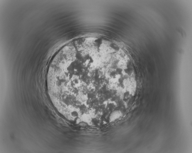 X0000111380337200908211345