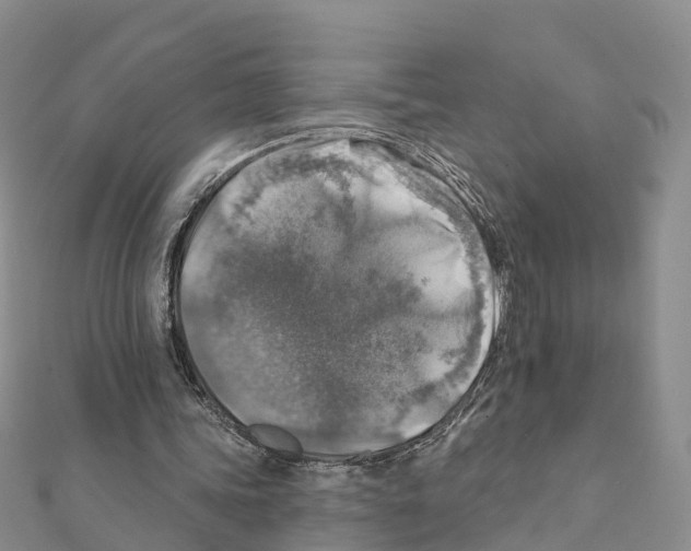 X0000111380339200908211345