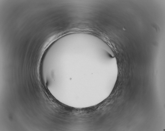 X0000111380340200908211345