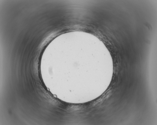 X0000111380341200908211345