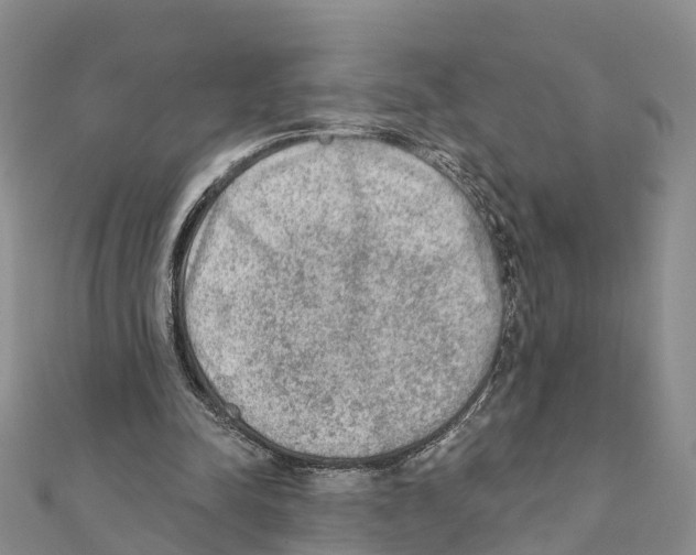 X0000111380342200908211345