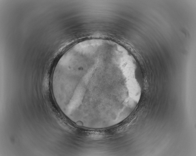 X0000111380347200908211345