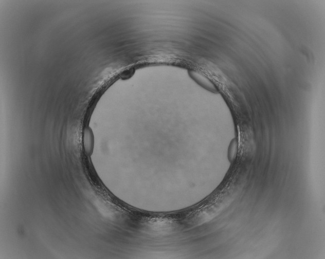 X0000111380348200908211345