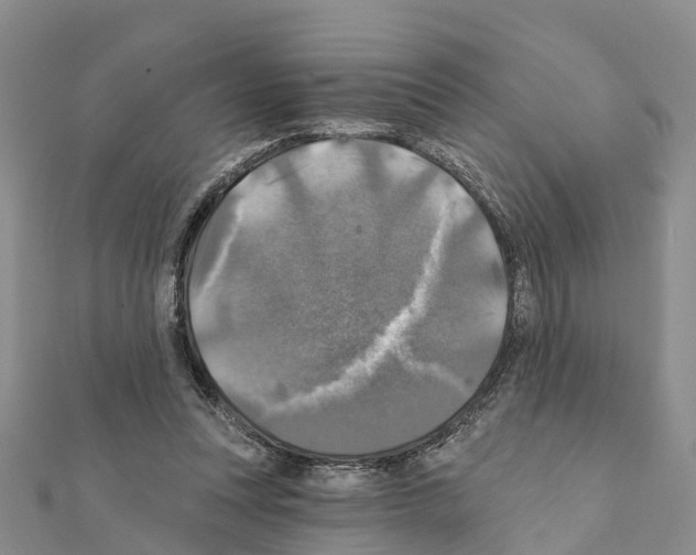 X0000111380351200908211345