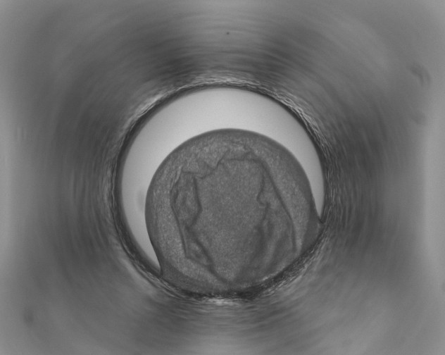 X0000111380352200908211345