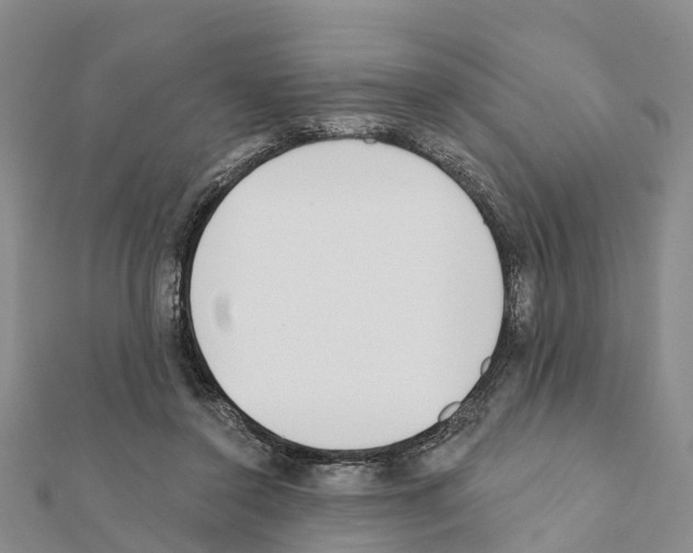 X0000111380356200908211345