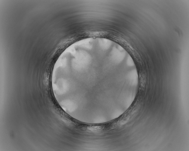 X0000111380357200908211345