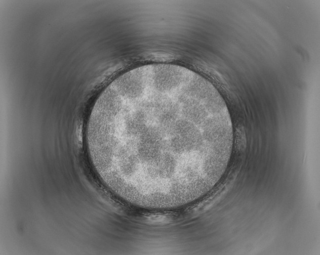 X0000111380358200908211345