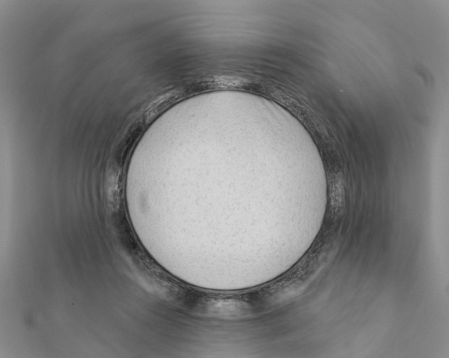 X0000111380360200908211345