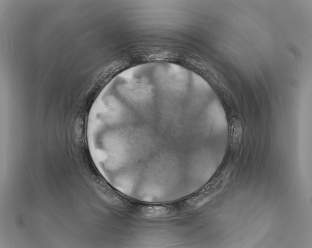 X0000111380361200908211345