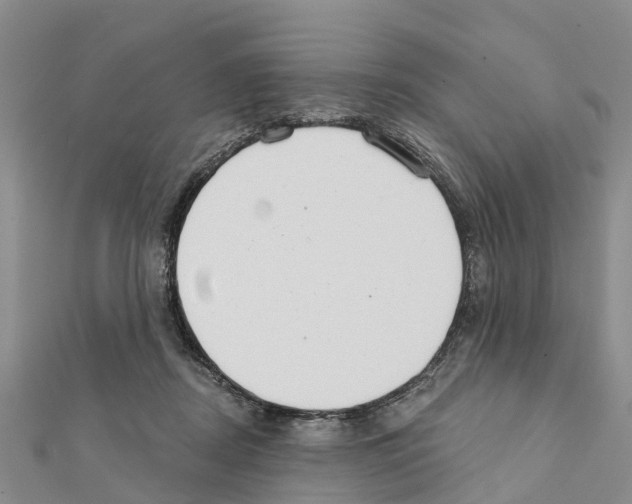 X0000111380362200908211345