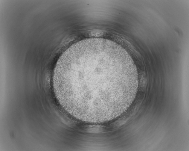 X0000111380363200908211345