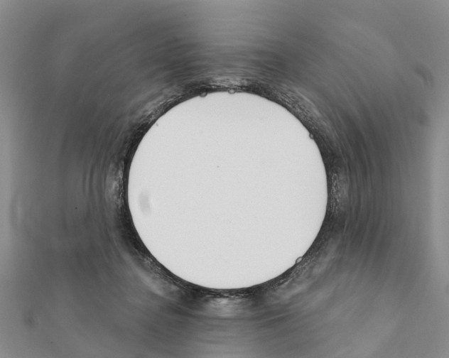 X0000111380364200908211345