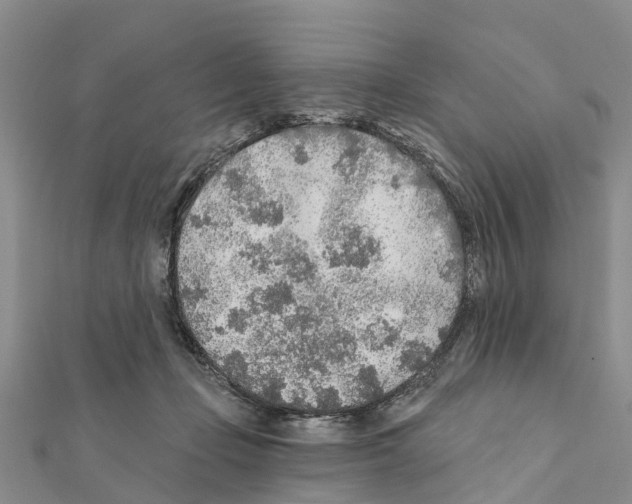 X0000111380365200908211345