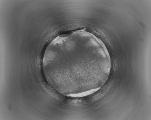 X0000111380366200908211345