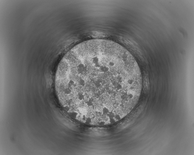 X0000111380367200908211345