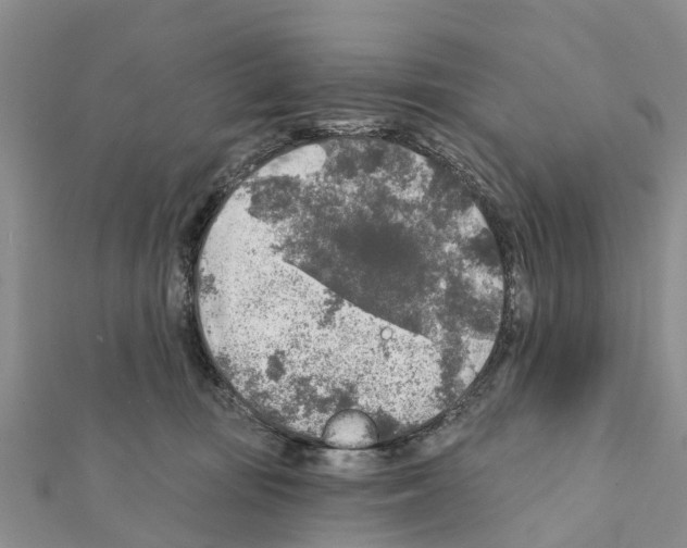 X0000111380371200908211345