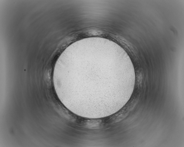 X0000111380373200908211345