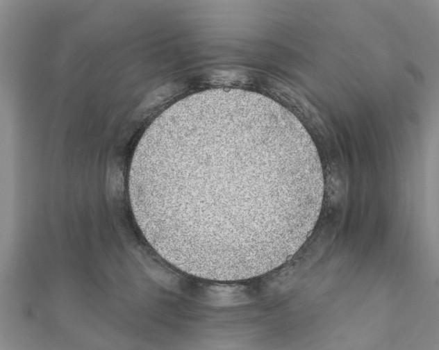 X0000111380375200908211345