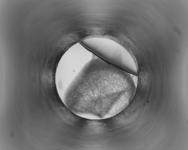 X0000111380380200908211345