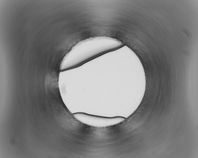 X0000111380384200908211345