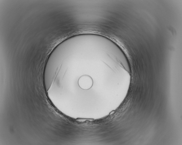 X0000111380385200908211345