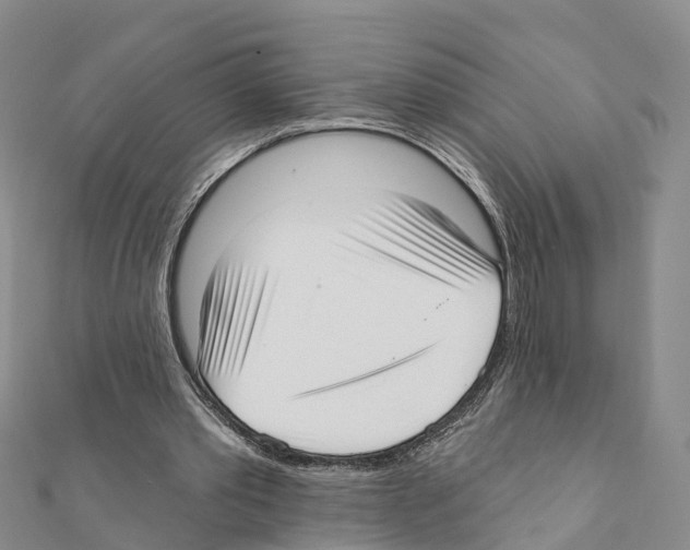 X0000111380389200908211344