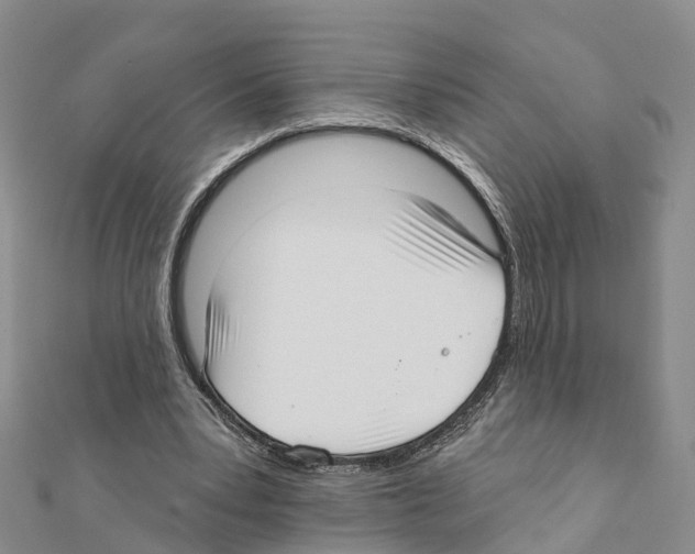 X0000111380391200908211344