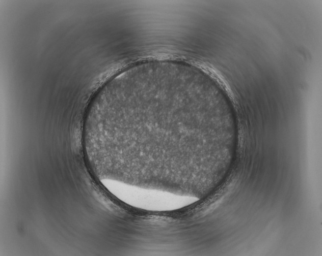 X0000111380393200908211344