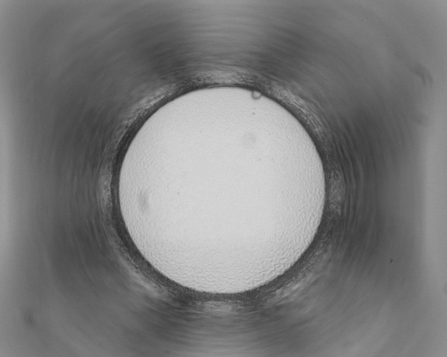 X0000111380394200908211344