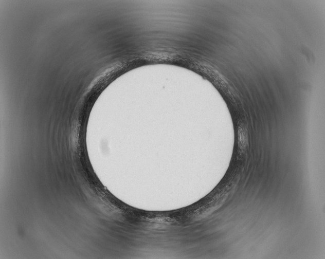 X0000111380396200908211344