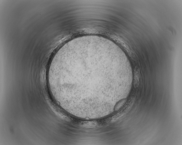 X0000111380398200908211344