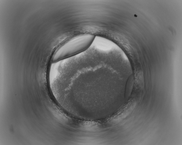 X0000111380399200908211344