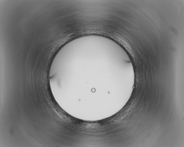 X0000111380401200908211344